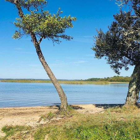 Maisonnette A 300 M Du Lac De 비스카로세 외부 사진